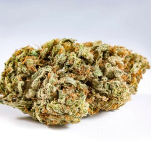 Gelato