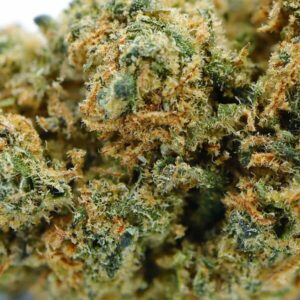 Blueberry
