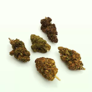 le pack Fleure + Résine