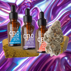 Pack Découverte 🧭